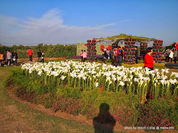 中社觀光花市：【景點】台中中社觀光花市@后里 : 沒有鴛鴦與蝴蝶的花花世界,鬱金香花季果然是很美的!