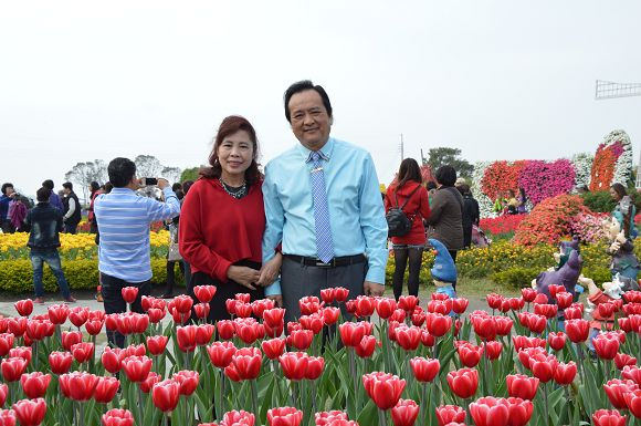 中社觀光花市12