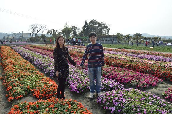 中社觀光花市34