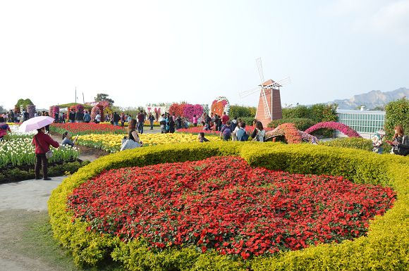 中社觀光花市48