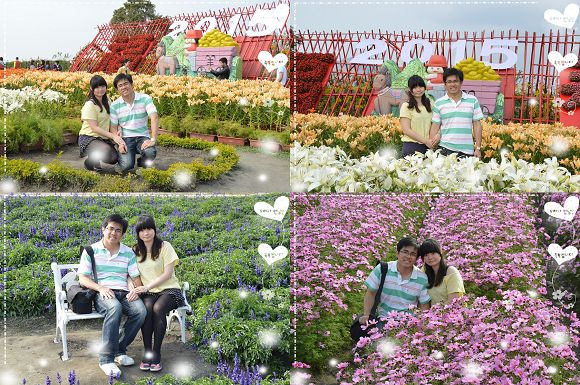 中社觀光花市62