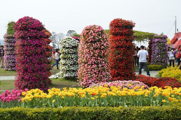 中社觀光花市20