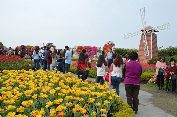 中社觀光花市13