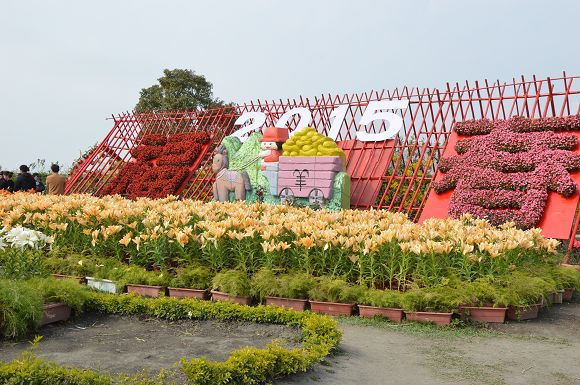 中社觀光花市25