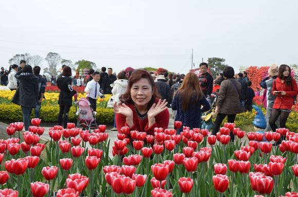 中社觀光花市11