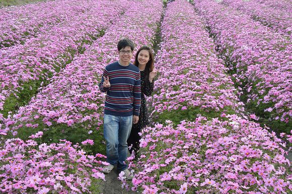 中社觀光花市41