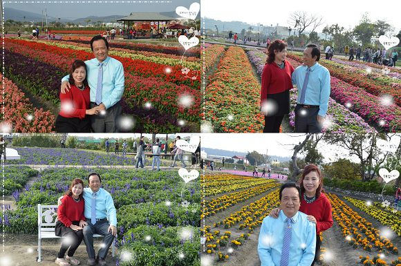 中社觀光花市63