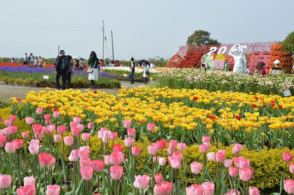 中社觀光花市07