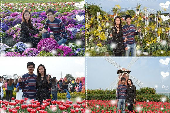 中社觀光花市60