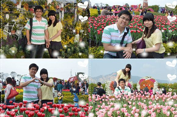 中社觀光花市65