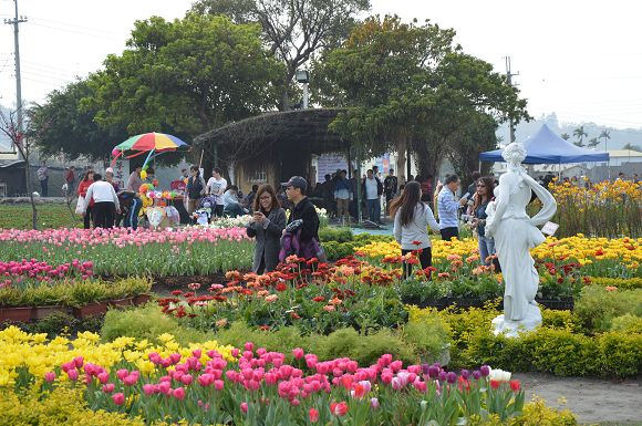 中社觀光花市16