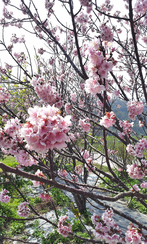 C360_2014-02-28-12-33-22-526