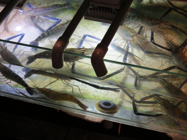 六合夜市：【高雄六合夜市】必嚐四小吃:莊記海鮮粥&烤肉之家&鄭老牌木瓜牛奶&東山鴨頭