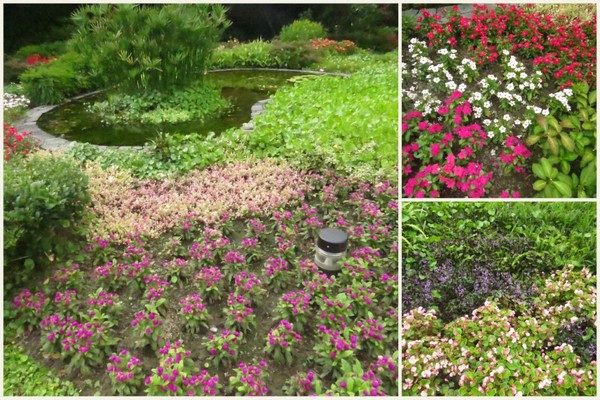 台北故事館：原來..卡片藏在故事館【台北故事館 / 十週年賀卡的故事】