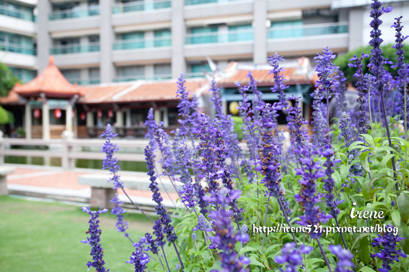 公會堂&吳園&柳屋