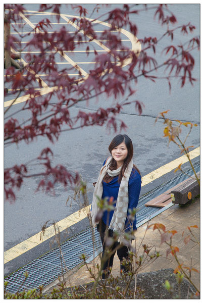 太平山國家森林遊樂區