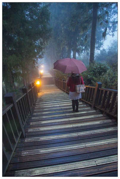 太平山國家森林遊樂區