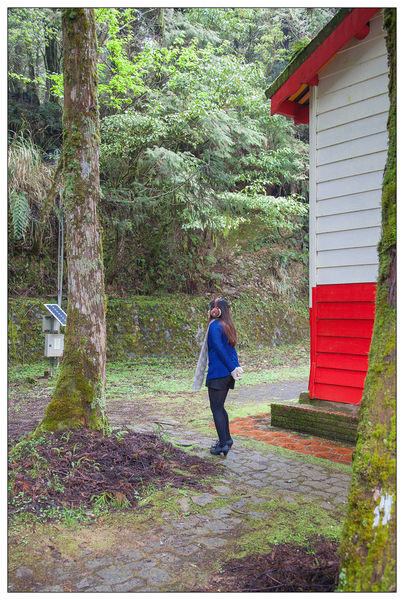 太平山國家森林遊樂區