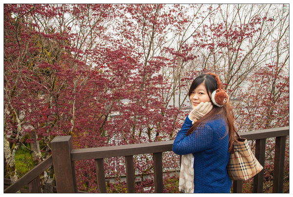 太平山國家森林遊樂區