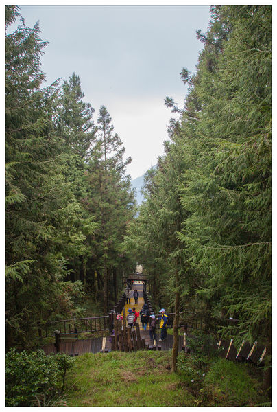 太平山國家森林遊樂區