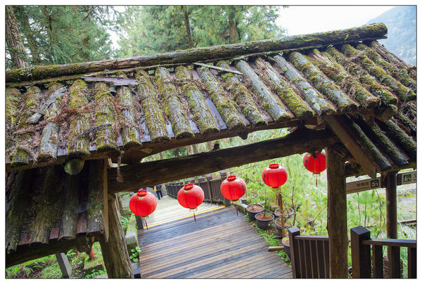 太平山國家森林遊樂區