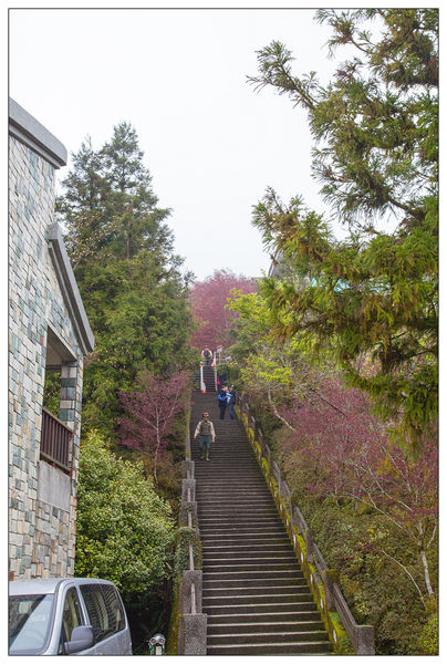 太平山國家森林遊樂區