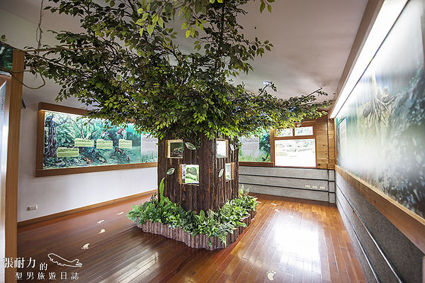 中間遊客中心 森林認識 拷貝.jpg