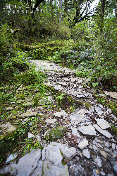 望洋山 頁岩 拷貝.jpg