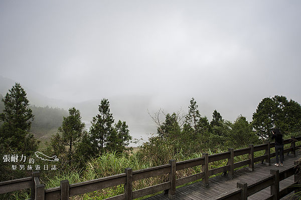 去翠峰 路旁 拷貝.jpg