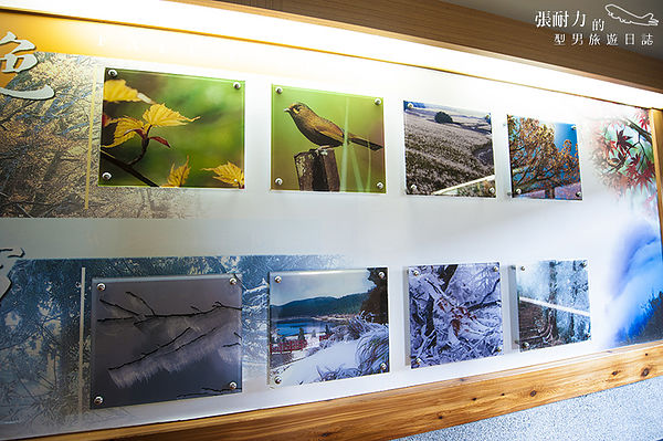 中間遊客中心 展示 拷貝.jpg