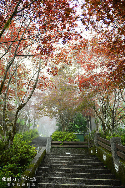 走上雲頂 拷貝.jpg