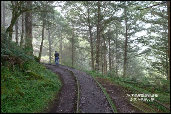 太平山見晴古道60.JPG