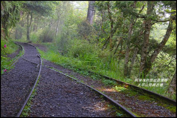 太平山見晴古道4.JPG