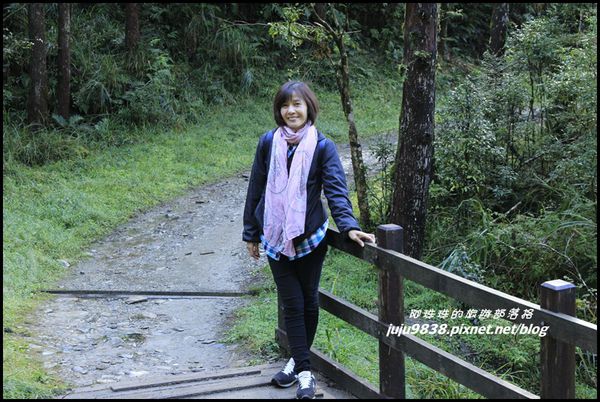 山毛櫸步道5.JPG