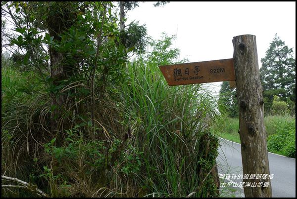 太平山望洋山步道10.JPG