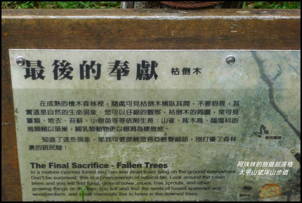 太平山望洋山步道34.JPG