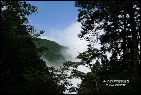 太平山見晴古道52.JPG