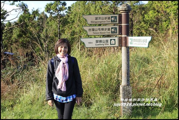 山毛櫸步道1.JPG
