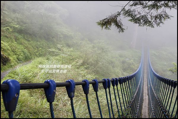 太平山見晴古道32.JPG
