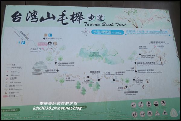 山毛櫸步道38.JPG