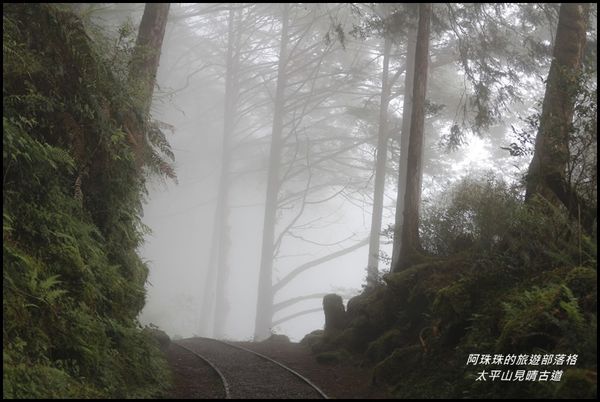 太平山見晴古道11.JPG