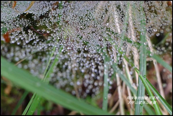 太平山望洋山步道51.JPG