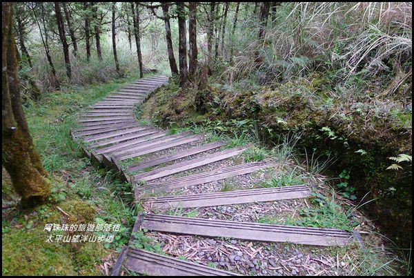 太平山望洋山步道59.JPG
