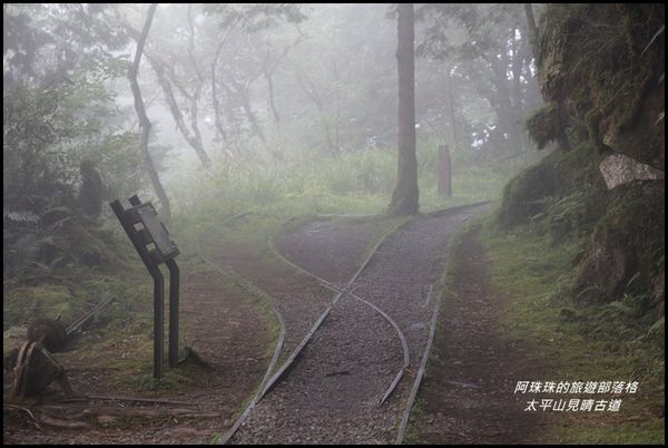 太平山見晴古道39.JPG