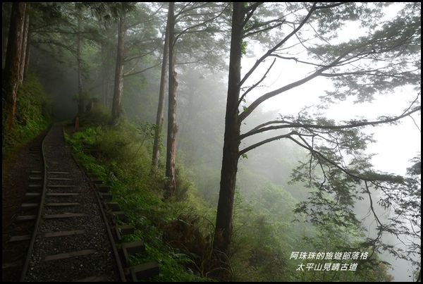 太平山見晴古道48.JPG