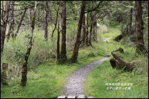 太平山望洋山步道72.JPG