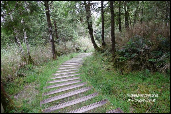 太平山望洋山步道57.JPG