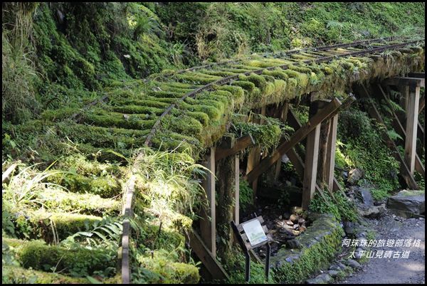 太平山見晴古道23.JPG