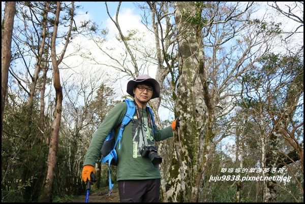 山毛櫸步道84.JPG