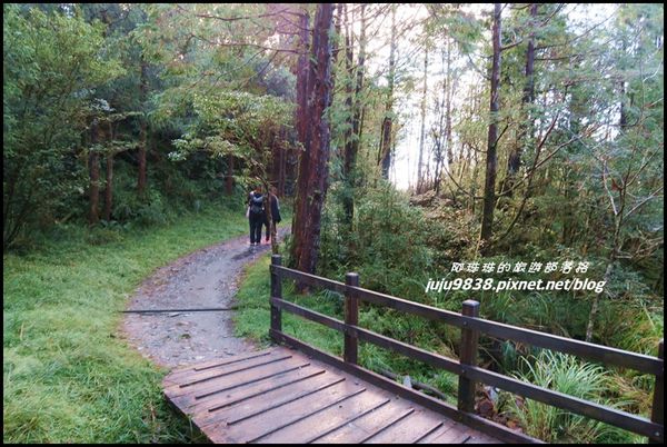 山毛櫸步道51.JPG